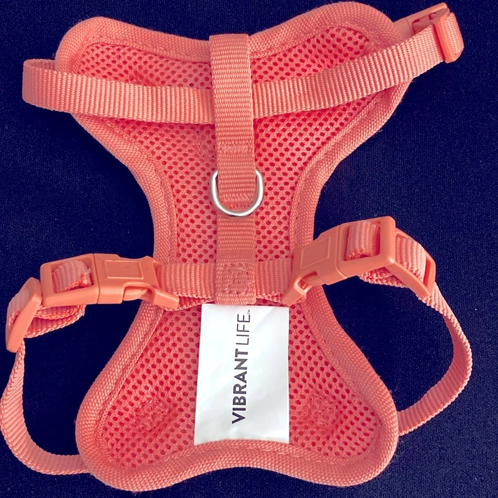 NWOT Cat Harness & Leash